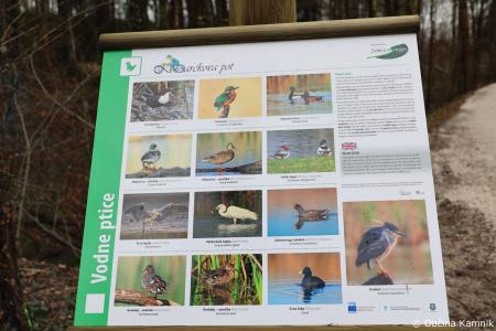 Z zasaditvijo dreves smo uradno odprli kolesarsko povezavo Kamnik–Godič (70)